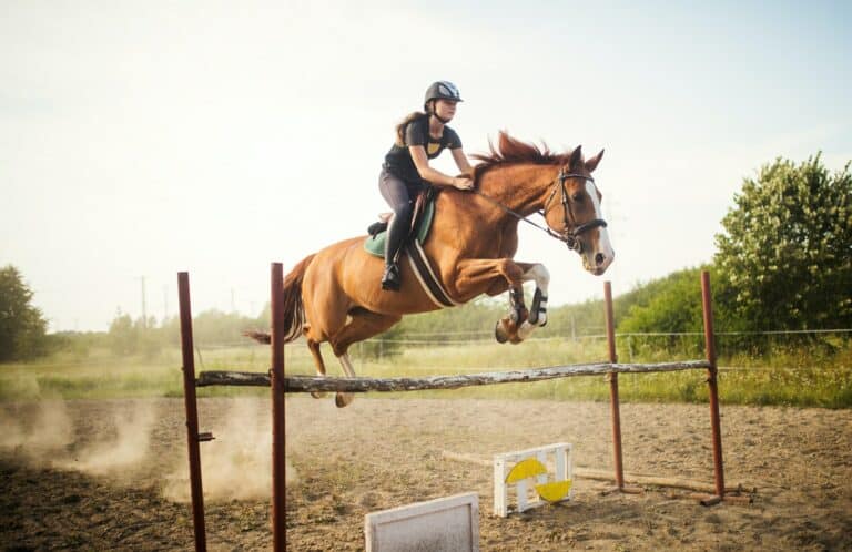 Young female jockey on horse leaping over hurdle